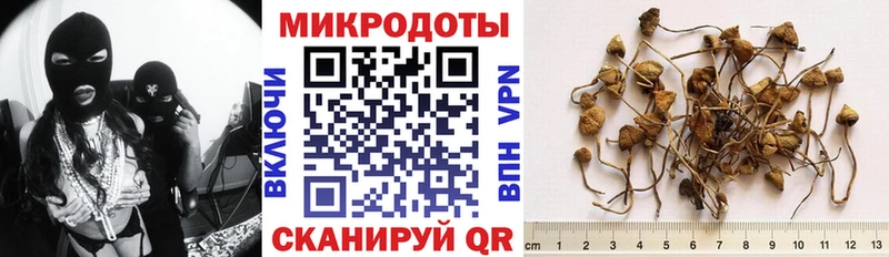 Псилоцибиновые грибы GOLDEN TEACHER  блэк спрут зеркало  Сланцы 