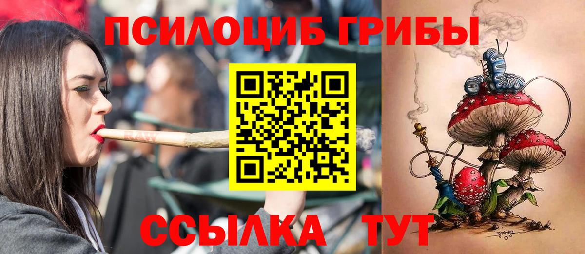 Галлюциногенные грибы мицелий Сланцы