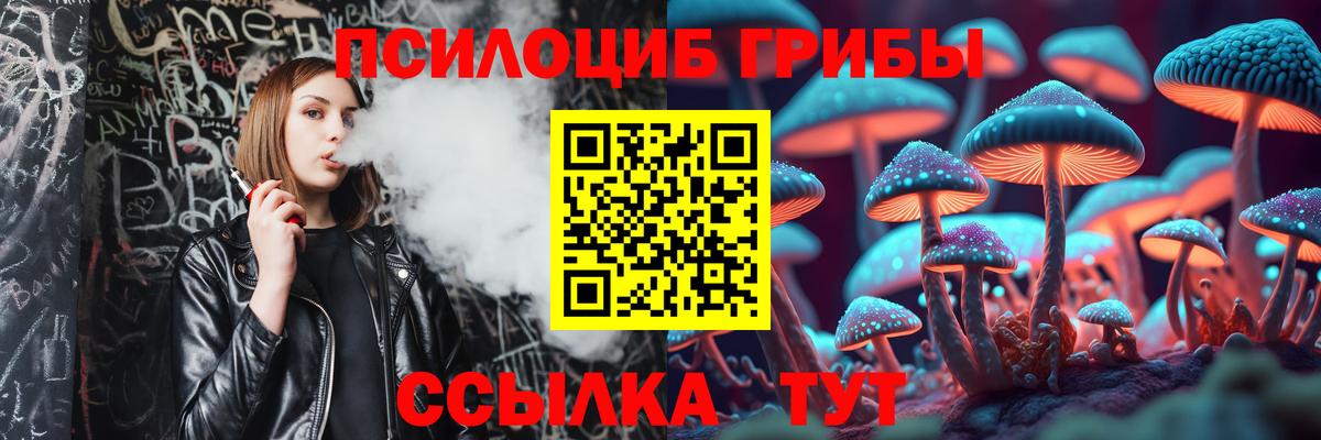 Сланцы  Псилоцибиновые грибы Magic Shrooms  Вход с VPN 