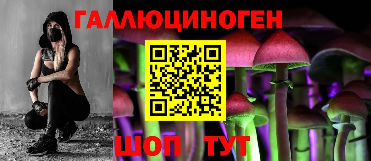 Псилоцибиновые грибы Psilocybine cubensis  Вход с VPN  Сланцы 